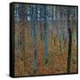 Beech Grove I-Gustav Klimt-Framed Stretched Canvas