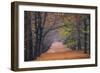 Beech Lane-Cora Niele-Framed Photographic Print