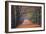 Beech Lane-Cora Niele-Framed Photographic Print