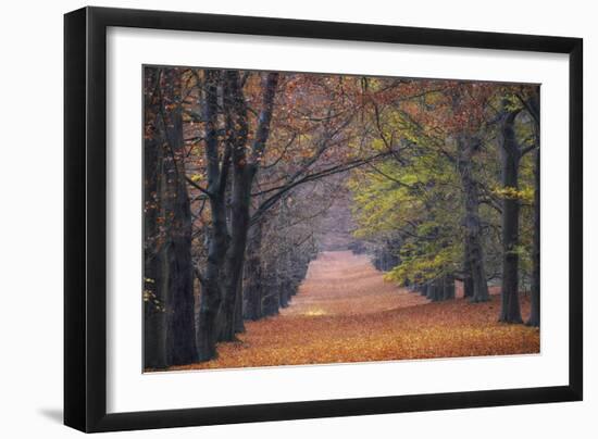 Beech Lane-Cora Niele-Framed Photographic Print