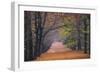 Beech Lane-Cora Niele-Framed Photographic Print