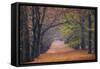 Beech Lane-Cora Niele-Framed Stretched Canvas