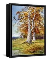 Beech Tree, Autumn, 1900-John MacWhirter-Framed Stretched Canvas