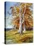 Beech Tree, Autumn, 1900-John MacWhirter-Stretched Canvas