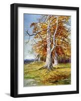 Beech Tree, Autumn, 1900-John MacWhirter-Framed Giclee Print