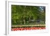 Beech Trees and Spring Flowers in Park-Colette2-Framed Photographic Print