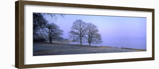 Beech Trees at Lakeside on Frosty Winter Morning-null-Framed Photographic Print