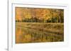 Beech Trees Autumn Colours Along River Bank-null-Framed Photographic Print