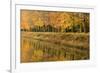 Beech Trees Autumn Colours Along River Bank-null-Framed Photographic Print