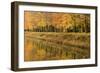 Beech Trees Autumn Colours Along River Bank-null-Framed Photographic Print