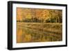 Beech Trees Autumn Colours Along River Bank-null-Framed Photographic Print