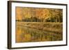 Beech Trees Autumn Colours Along River Bank-null-Framed Photographic Print