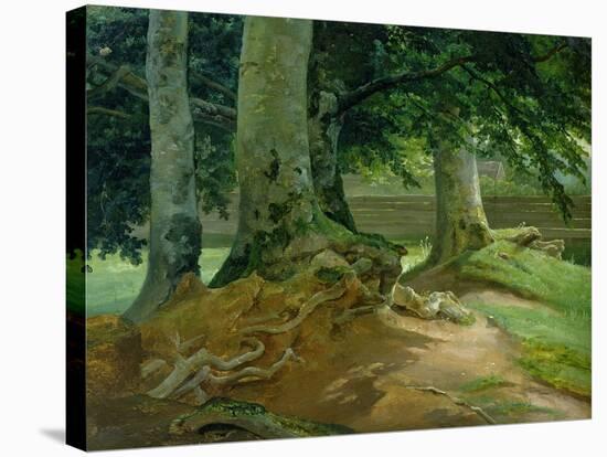 Beech Trees in Frederiksdal Near Copenhagen, 1828-Christian Ernst Bernhard Morgenstern-Stretched Canvas