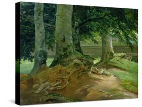 Beech Trees in Frederiksdal Near Copenhagen, 1828-Christian Ernst Bernhard Morgenstern-Stretched Canvas