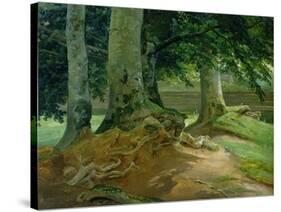 Beech Trees in Frederiksdal Near Copenhagen, 1828-Christian Ernst Bernhard Morgenstern-Stretched Canvas