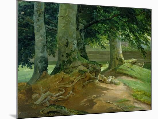 Beech Trees in Frederiksdal Near Copenhagen, 1828-Christian Ernst Bernhard Morgenstern-Mounted Giclee Print