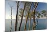 Beech Trees on Cliffs, Log Slide Overlooking Lake Superior, Pictured Rocks National Lakeshore-Judith Zimmerman-Mounted Photographic Print