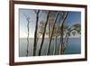 Beech Trees on Cliffs, Log Slide Overlooking Lake Superior, Pictured Rocks National Lakeshore-Judith Zimmerman-Framed Photographic Print