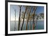 Beech Trees on Cliffs, Log Slide Overlooking Lake Superior, Pictured Rocks National Lakeshore-Judith Zimmerman-Framed Photographic Print