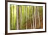 Beech Trees, Sibillini National Park, Umbria, Italy-ClickAlps-Framed Photographic Print