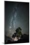Beech with the Milky Way in the Background-Niki Haselwanter-Mounted Photographic Print