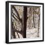Black Frame