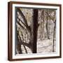 Brown Frame