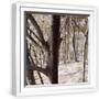 White Frame