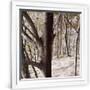 Gramercy White