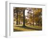 Beech Woodland in Autumn, Burghley Park, Stamford, Lincolnshire, England, United Kingdom-Lee Frost-Framed Photographic Print