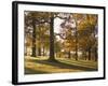 Beech Woodland in Autumn, Burghley Park, Stamford, Lincolnshire, England, United Kingdom-Lee Frost-Framed Photographic Print