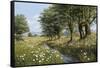 Beeches And Daisies-Bill Makinson-Framed Stretched Canvas