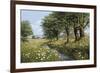 Beeches And Daisies-Bill Makinson-Framed Giclee Print