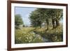 Beeches And Daisies-Bill Makinson-Framed Giclee Print