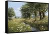 Beeches And Daisies-Bill Makinson-Framed Stretched Canvas
