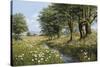 Beeches And Daisies-Bill Makinson-Stretched Canvas