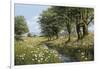 Beeches And Daisies-Bill Makinson-Framed Giclee Print