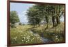 Beeches And Daisies-Bill Makinson-Framed Giclee Print