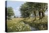 Beeches And Daisies-Bill Makinson-Stretched Canvas