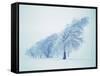 Beeches in the snow-Herbert Kehrer-Framed Stretched Canvas