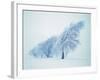 Beeches in the snow-Herbert Kehrer-Framed Photographic Print