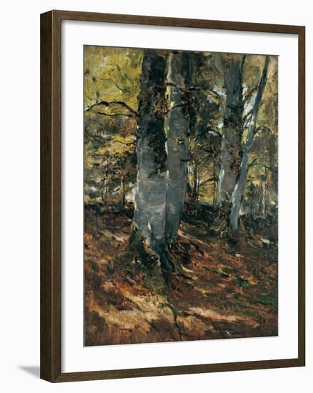 Beechwoods at Polling, Bavaria, C.1876-Frank Duveneck-Framed Giclee Print