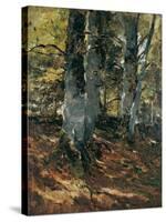 Beechwoods at Polling, Bavaria, C.1876-Frank Duveneck-Stretched Canvas