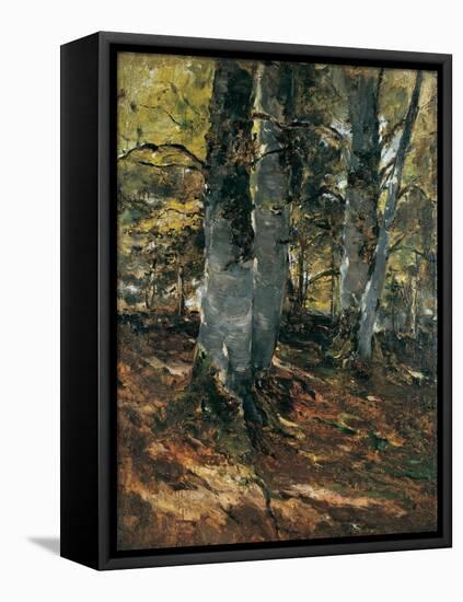 Beechwoods at Polling, Bavaria, C.1876-Frank Duveneck-Framed Stretched Canvas