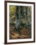 Beechwoods at Polling, Bavaria, C.1876-Frank Duveneck-Framed Giclee Print