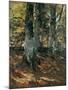 Beechwoods at Polling, Bavaria, C.1876-Frank Duveneck-Mounted Giclee Print