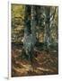 Beechwoods at Polling, Bavaria, C.1876-Frank Duveneck-Framed Giclee Print