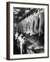 Beef Carcasees-null-Framed Photographic Print