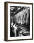 Beef Carcasees-null-Framed Photographic Print