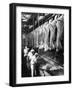 Beef Carcasees-null-Framed Photographic Print